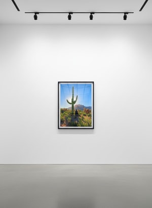 Sebastian Magnani - Daily Bat - Bat Signal