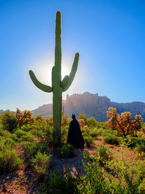 Sebastian Magnani - Daily Bat - Bat Signal