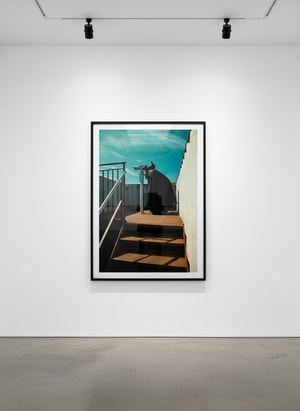 Sebastian Magnani - Daily Bat – Sightseeing