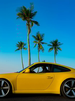 Sebastian Magnani - Daily Bat - Test Drive