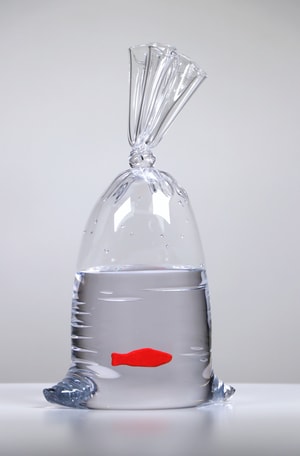 Dylan Martinez - Swedish Fish No 105