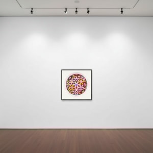 Takashi Murakami - Flower Ball (Goldfish)