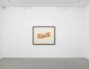 Tom Wesselman - Great American Nude Cut Out Nude