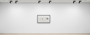 Tom Wesselman - Hedy Sandpaper