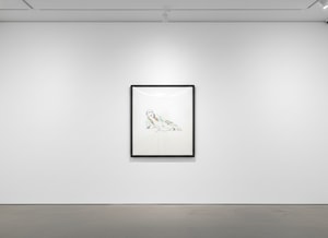 Tom Wesselman - Monica Lying On One Elbow With Robe