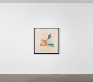Tom Wesselman - Seascape Dropout