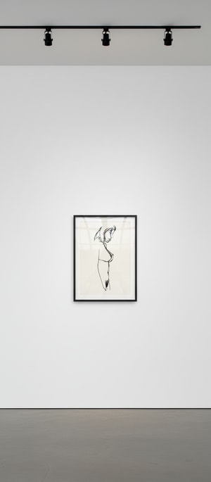Tom Wesselman - Standing Nude Edition