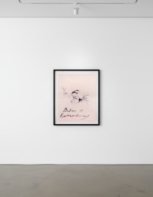 Tracey Emin - Believe In Extraordinary