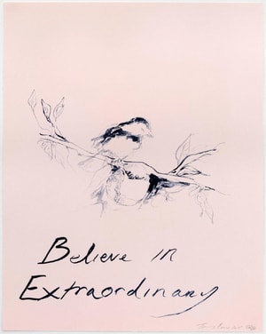 Tracey Emin - Believe In Extraordinary