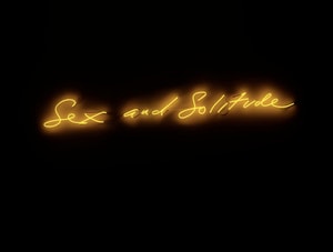 Tracey Emin - Sex and Solitude