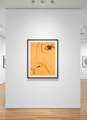 Alex Katz - Ada 5