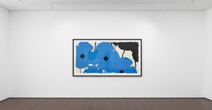 Donald Sultan - Blues and Blacks