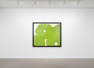 Donald Sultan - Four Green Poppies April 24