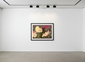 Alex Katz - Late Summer Flowers