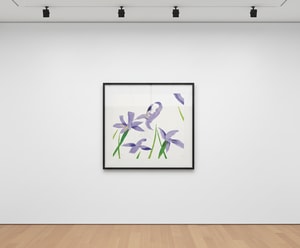 Alex Katz - Purple Irises on White