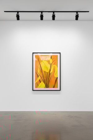 Alex Katz - Yellow Flags 4