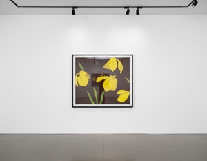 Alex Katz - Yellow Flags on Brown