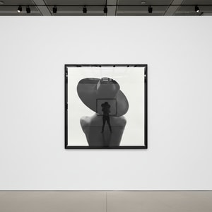 Tyler Shields - Back Silhouette II