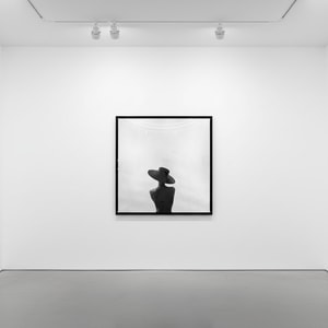 Tyler Shields - Back Silhouette