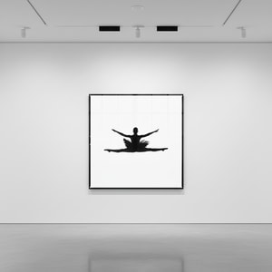 Tyler Shields - Ballerina Silhouette