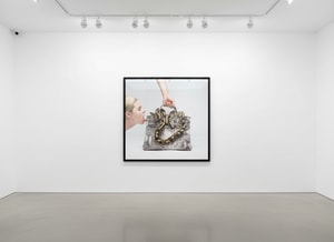 Tyler Shields - Birkin Bite