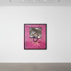 Tyler Shields - Birkin Spill