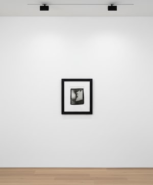 Tyler Shields - Bite