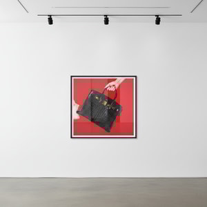 Tyler Shields - Black Birkin