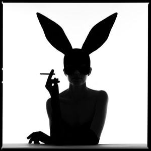 Tyler Shields - Bunny Silhouette III