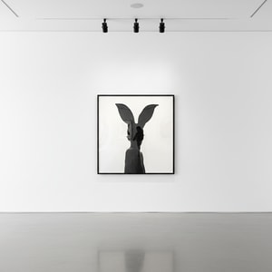 Tyler Shields - Bunny Silhouette