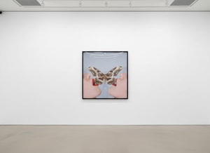 Tyler Shields - Butterfly