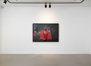 Tyler Shields - Chainsaw Birkin II