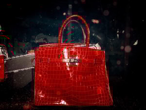 Tyler Shields - Chainsaw Birkin II