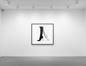 Tyler Shields - Dualism