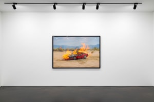Tyler Shields - Ferrari On Fire II