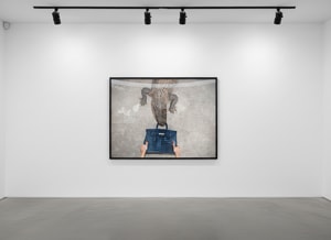 Tyler Shields - Gator Birkin (B&W)