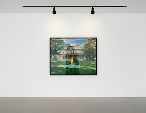 Tyler Shields - Green Book