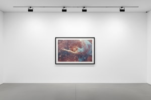 Tyler Shields - Holland