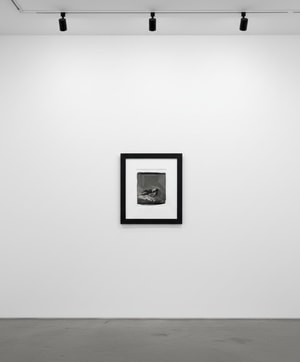 Tyler Shields - Kissing in the Rain