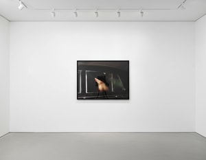 Tyler Shields - Kodachrome Dream