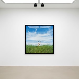 Tyler Shields - Legs in the Tall Grass