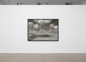 Tyler Shields - Lioness