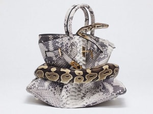 Tyler Shields - Python Birkin