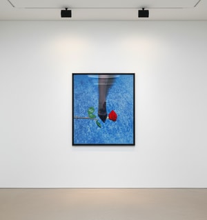 Tyler Shields - Red Rose