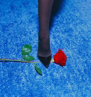 Tyler Shields - Red Rose