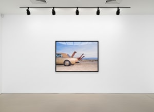 Tyler Shields - Rolls Royce Legs