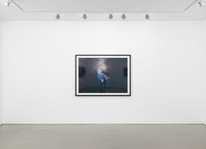 Tyler Shields - Submerged