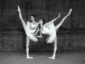 Tyler Shields - Swans