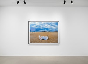 Tyler Shields - The Girl in the Bed II