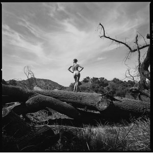 Tyler Shields - The Tree Trunk